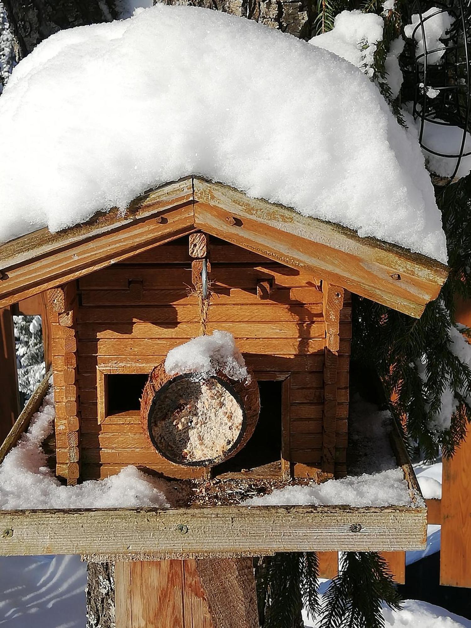 فيلا Bauernhof Bachgut Mühlbach am Hochkönig المظهر الخارجي الصورة