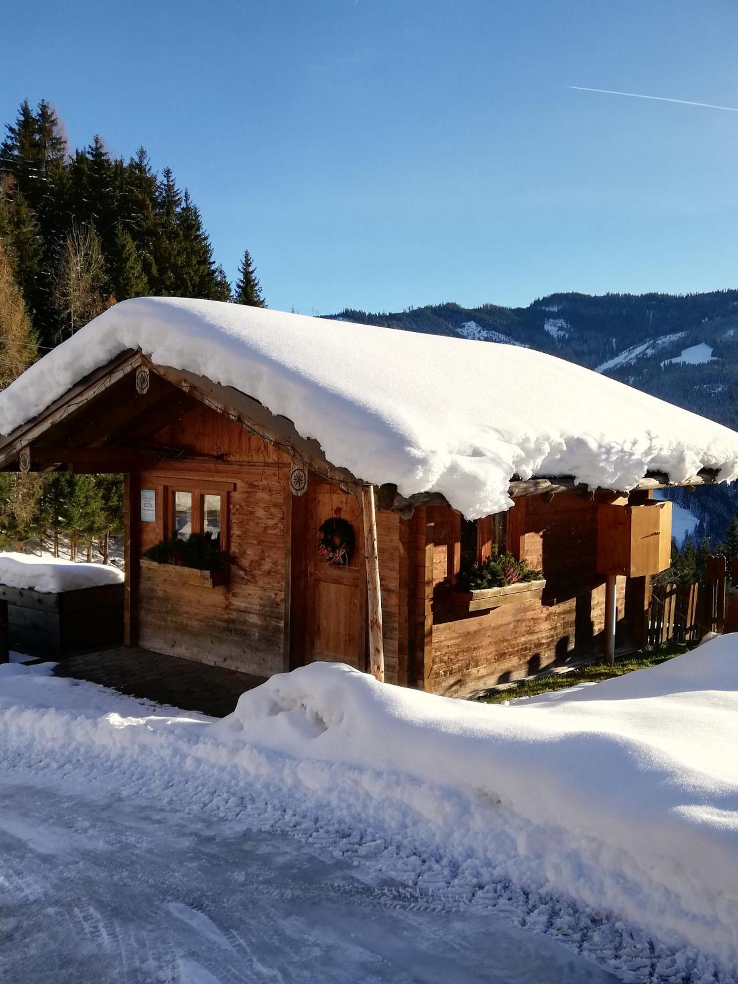 فيلا Bauernhof Bachgut Mühlbach am Hochkönig المظهر الخارجي الصورة